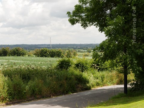 View north east across the site, from Fen Lane