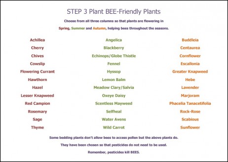 [Bee leaflet inside]